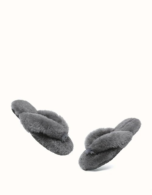 AUSTRALIAN SHEPHERD® Farah