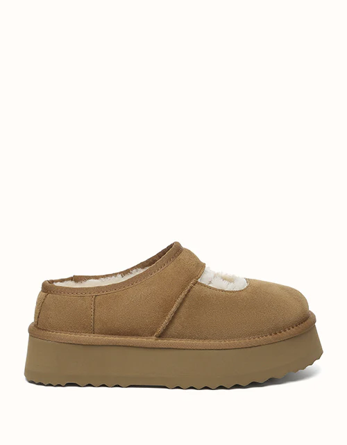 AUSTRALIAN SHEPHERD® Carmella