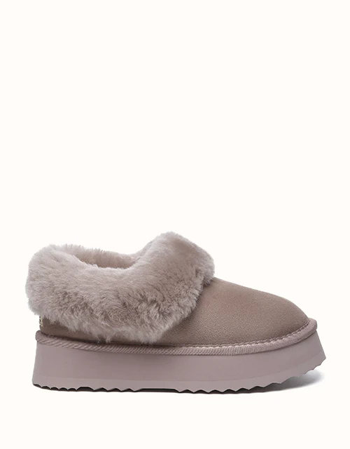 AUSTRALIAN SHEPHERD? Clarrie Platform