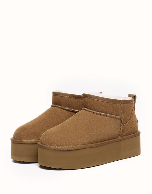 AUSTRALIAN SHEPHERD? Saylor Ultra Platform