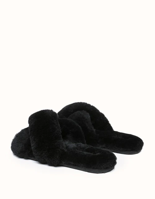 AUSTRALIAN SHEPHERD® LINTY