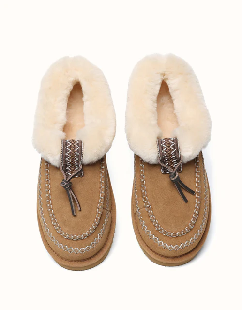 AUSTRALIAN SHEPHERD® Draco