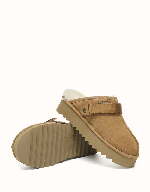 AUSTRALIAN SHEPHERD? Cozeln