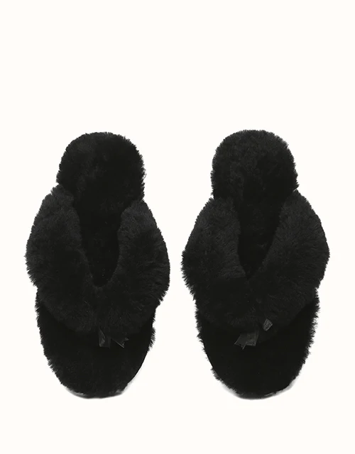 AUSTRALIAN SHEPHERD® Farah