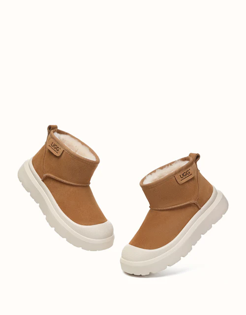 AUSTRALIAN SHEPHERD? Harrison