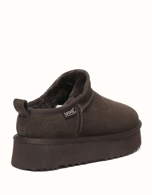 AUSTRALIAN SHEPHERD? Nano Classic Platform