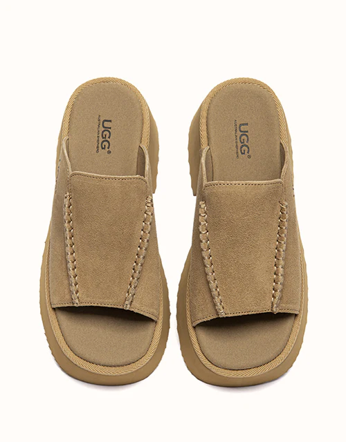 Australian Shepherd? Haive