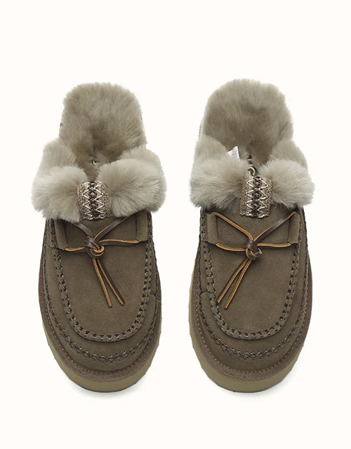 AUSTRALIAN SHEPHERD? Sammy