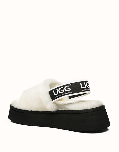 AUSTRALIAN SHEPHERD? Poppin