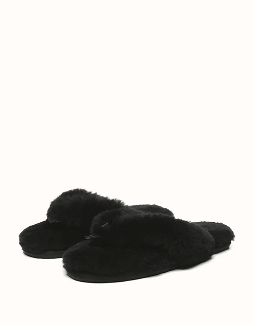 AUSTRALIAN SHEPHERD® Farah