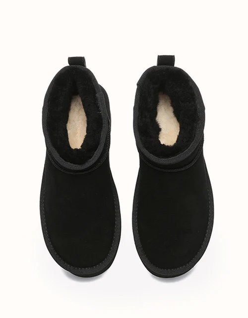 AUSTRALIAN SHEPHERD? Saylor Ultra Platform