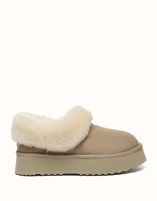 AUSTRALIAN SHEPHERD? Clarrie Platform