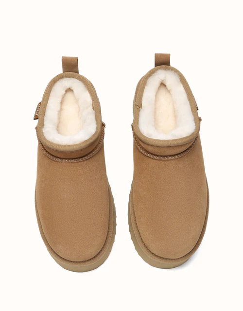 AUSTRALIAN SHEPHERD? Nano Classic Platform