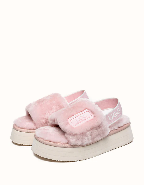 AUSTRALIAN SHEPHERD? Poppin