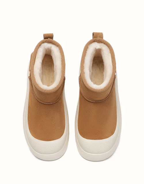 AUSTRALIAN SHEPHERD? Harrison