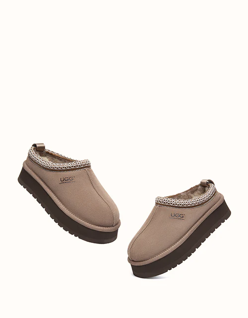 AUSTRALIAN SHEPHERD? Tay Platform Muti-Colour