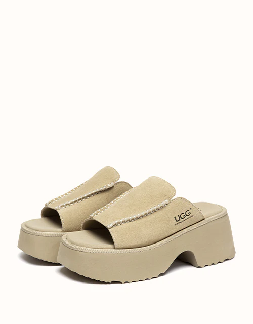 Australian Shepherd? Haive