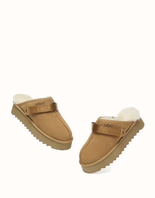 AUSTRALIAN SHEPHERD? Cozeln