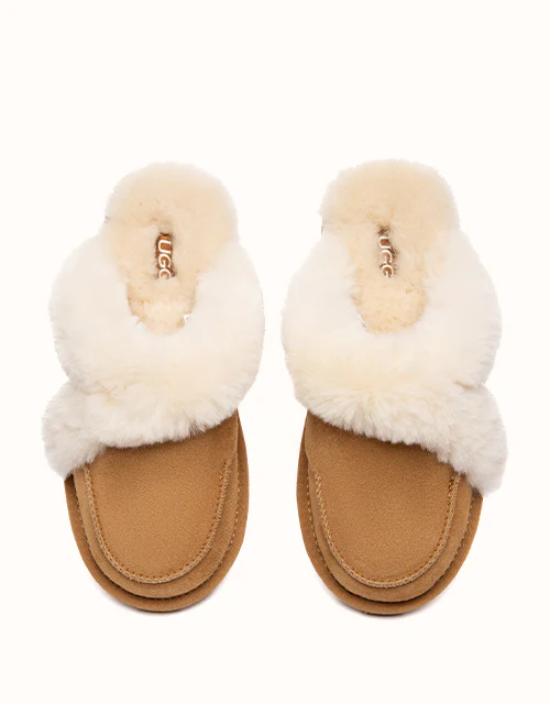 AUSTRALIAN SHEPHERD® Doria