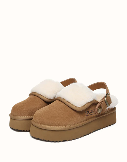 AUSTRALIAN SHEPHERD? Tenley Platform