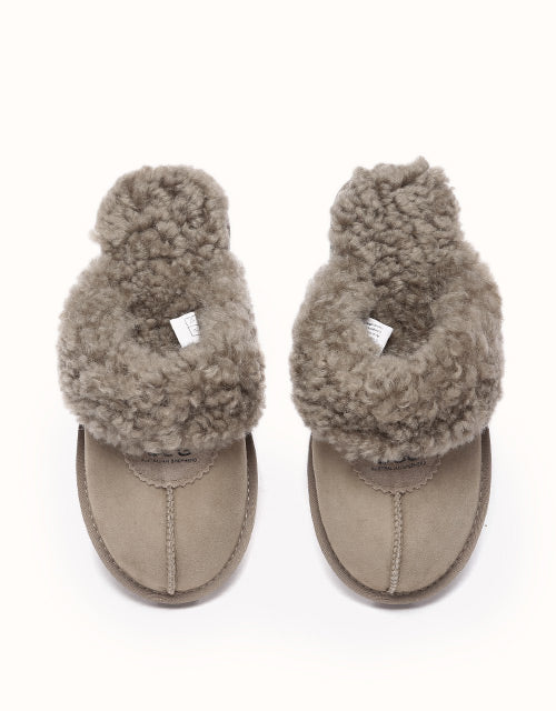 AUSTRALIAN SHEPHERD® Waffle Curly