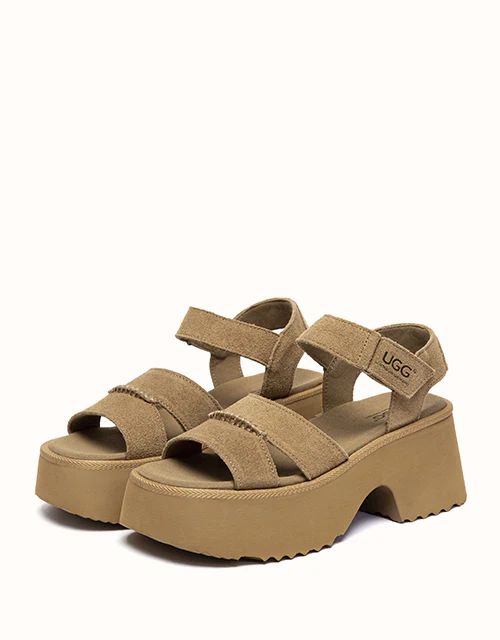 Australian Shepherd? Eive