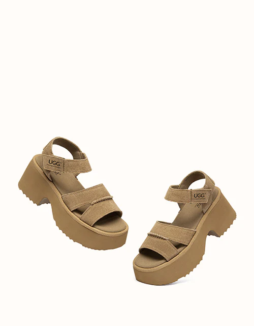 Australian Shepherd® Eive