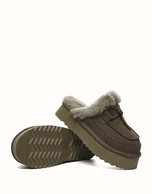 AUSTRALIAN SHEPHERD? Sammy