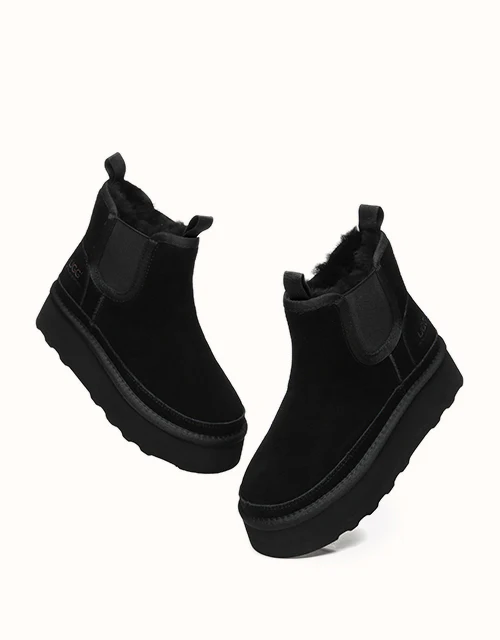 AUSTRALIAN SHEPHERD? Chelsie Platform