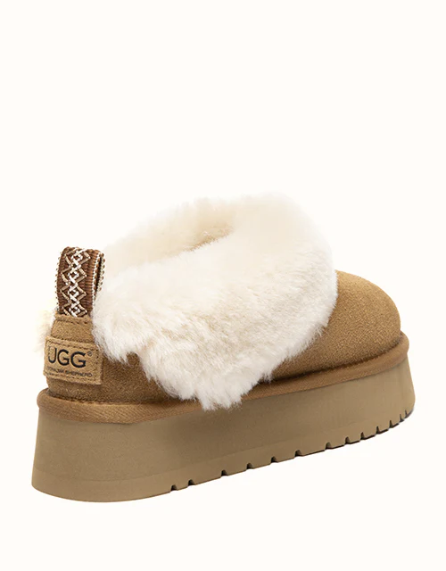 AUSTRALIAN SHEPHERD® Glacial