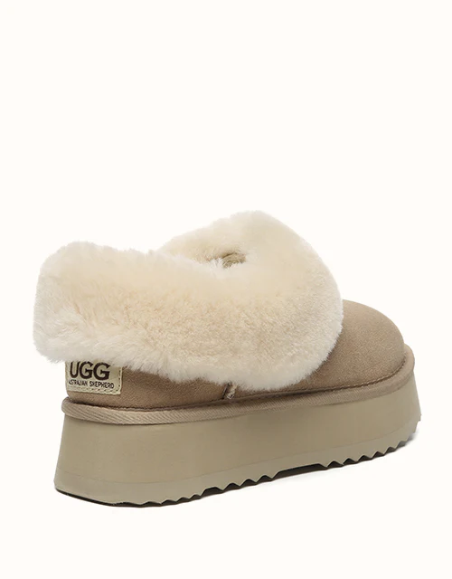 AUSTRALIAN SHEPHERD? Clarrie Platform