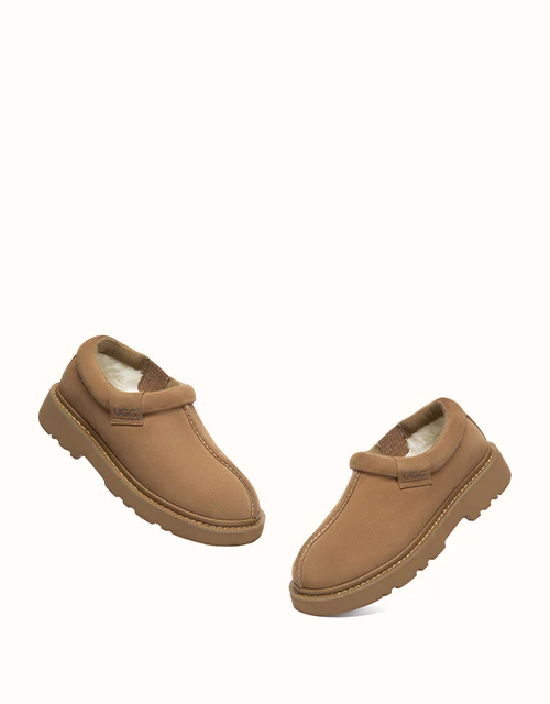 AUSTRALIAN SHEPHERD® Axton