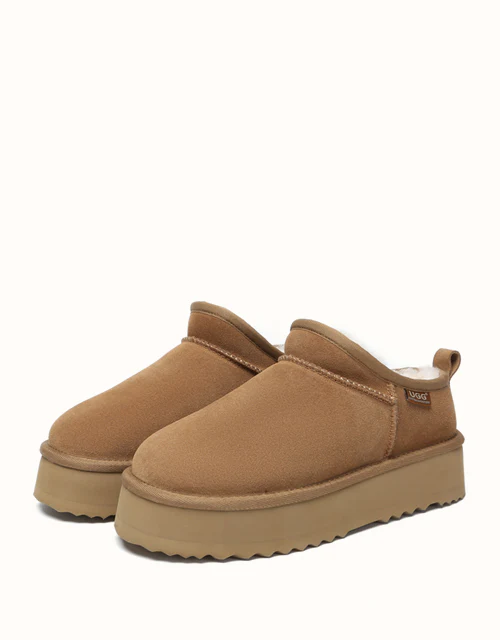 AUSTRALIAN SHEPHERD? Nano Classic Platform