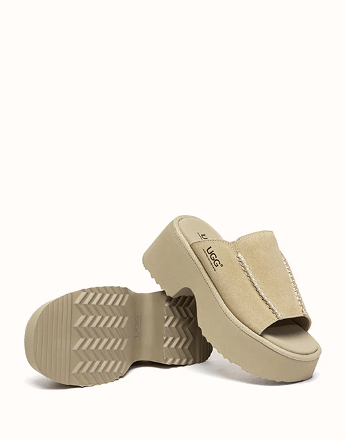 Australian Shepherd? Haive