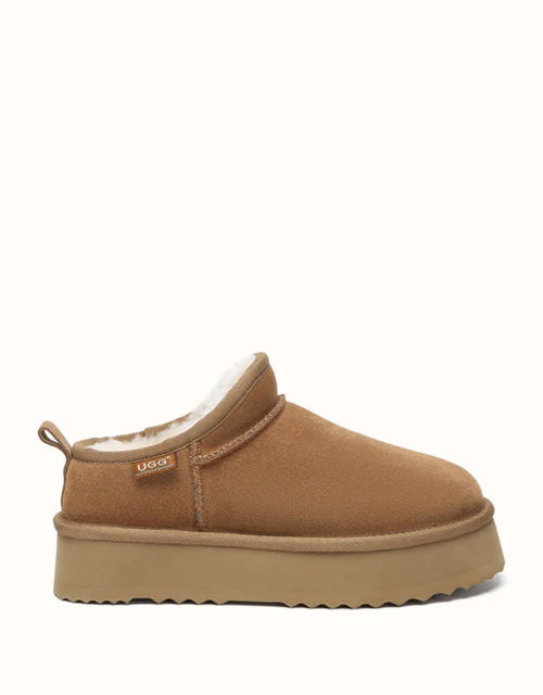 AUSTRALIAN SHEPHERD? Nano Classic Platform