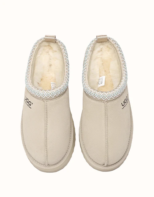 AUSTRALIAN SHEPHERD? Tay Platform Muti-Colour