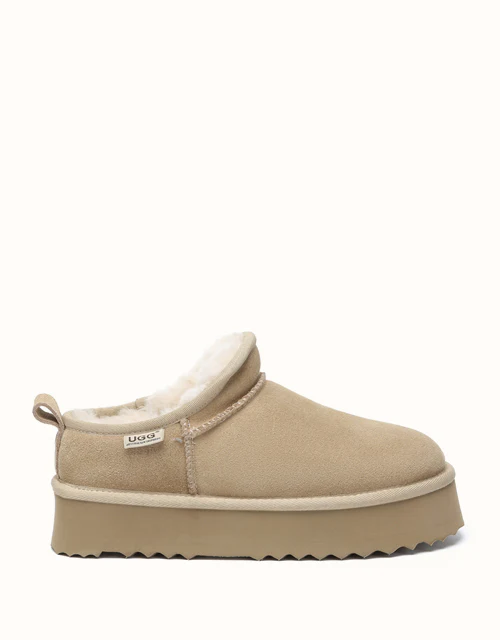 AUSTRALIAN SHEPHERD? Nano Classic Platform