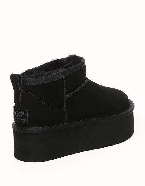 AUSTRALIAN SHEPHERD? Saylor Ultra Platform