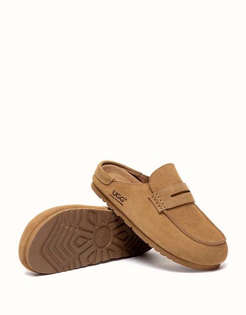 AUSTRALIAN SHEPHERD? Casten