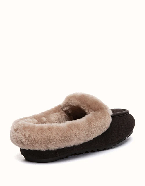 AUSTRALIAN SHEPHERD® Noelle