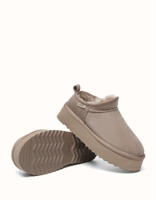 AUSTRALIAN SHEPHERD? Nano Classic Platform