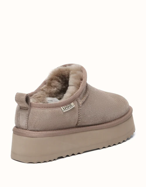 AUSTRALIAN SHEPHERD? Nano Classic Platform