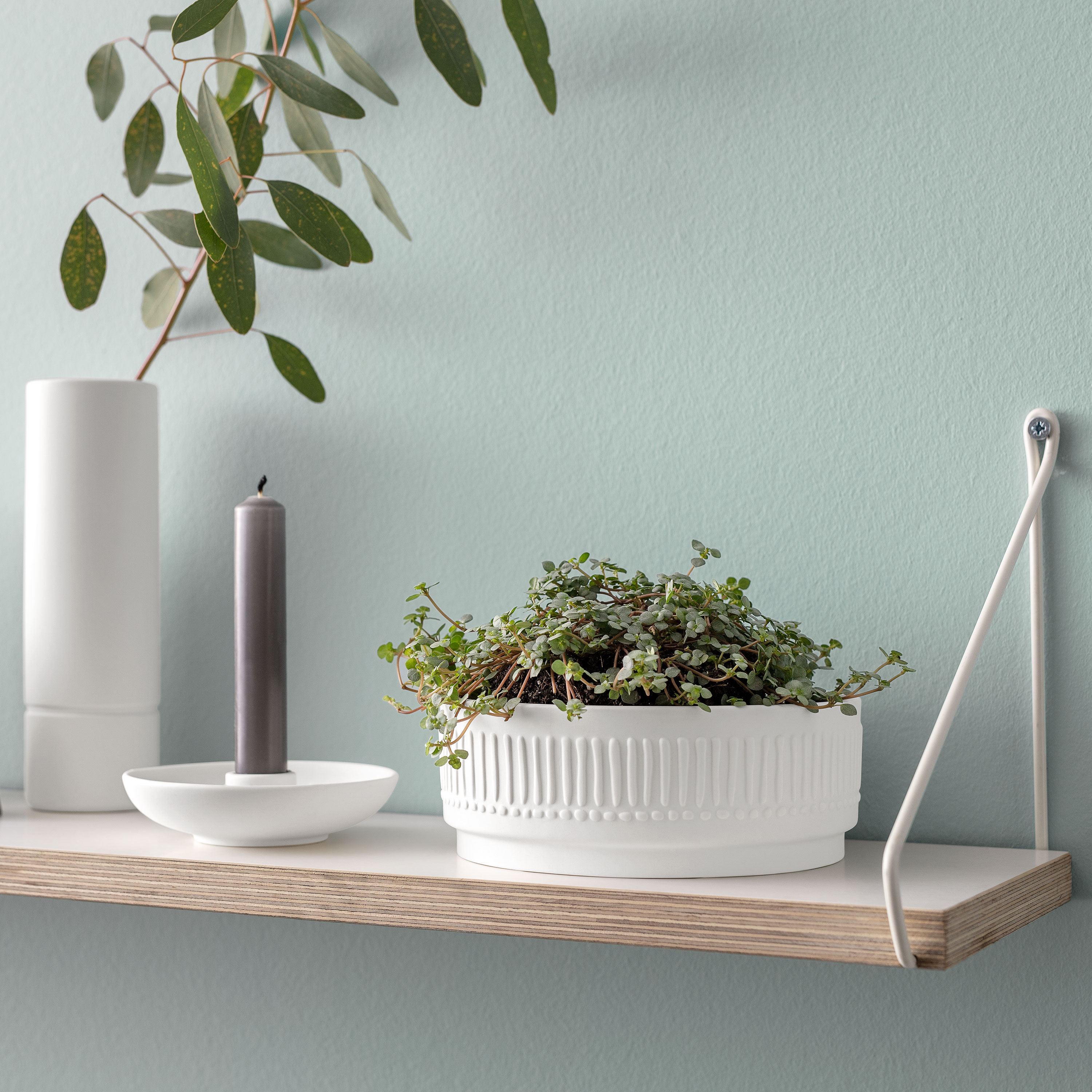 It's my home Blumentopf