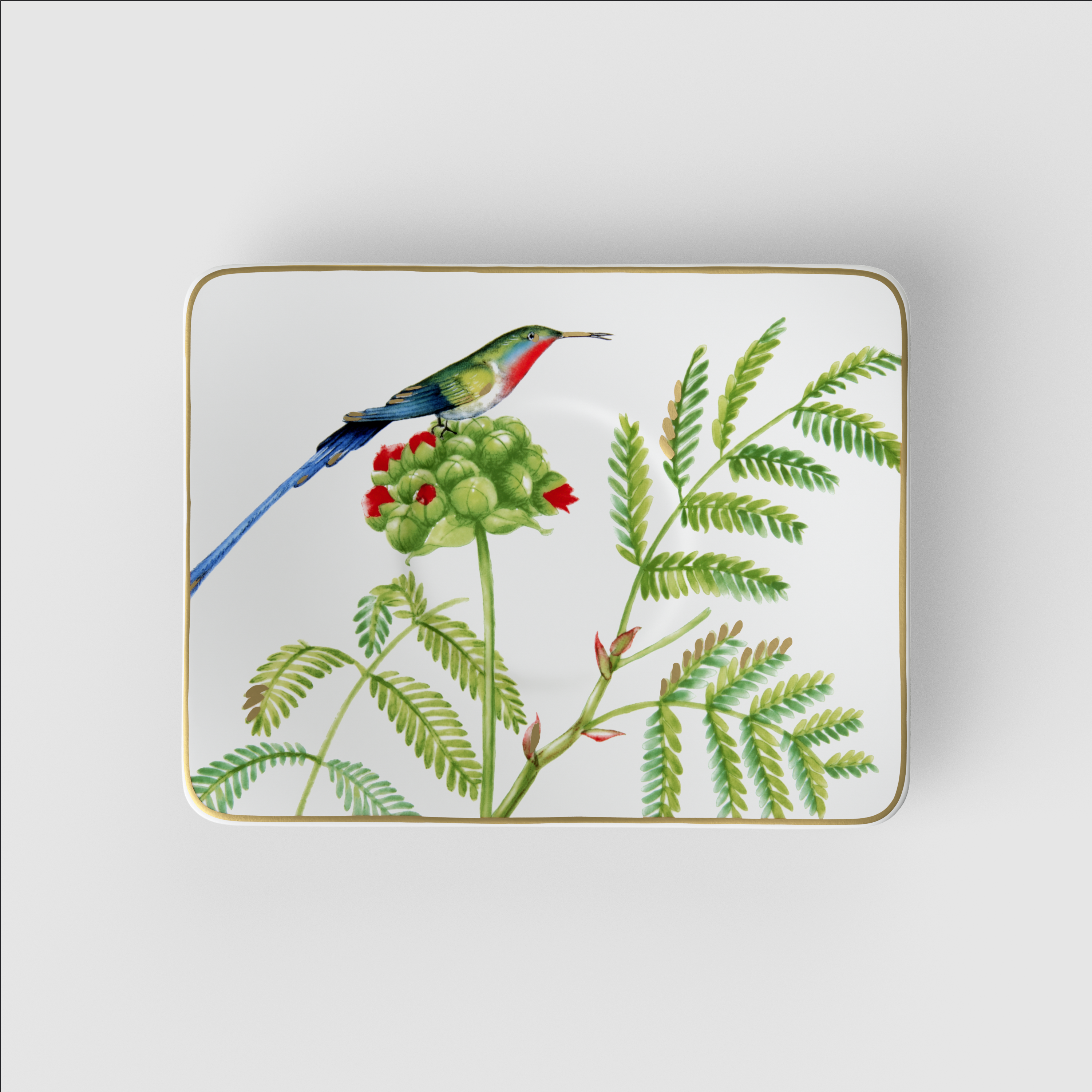 Amazonia Kaffee-Untertasse