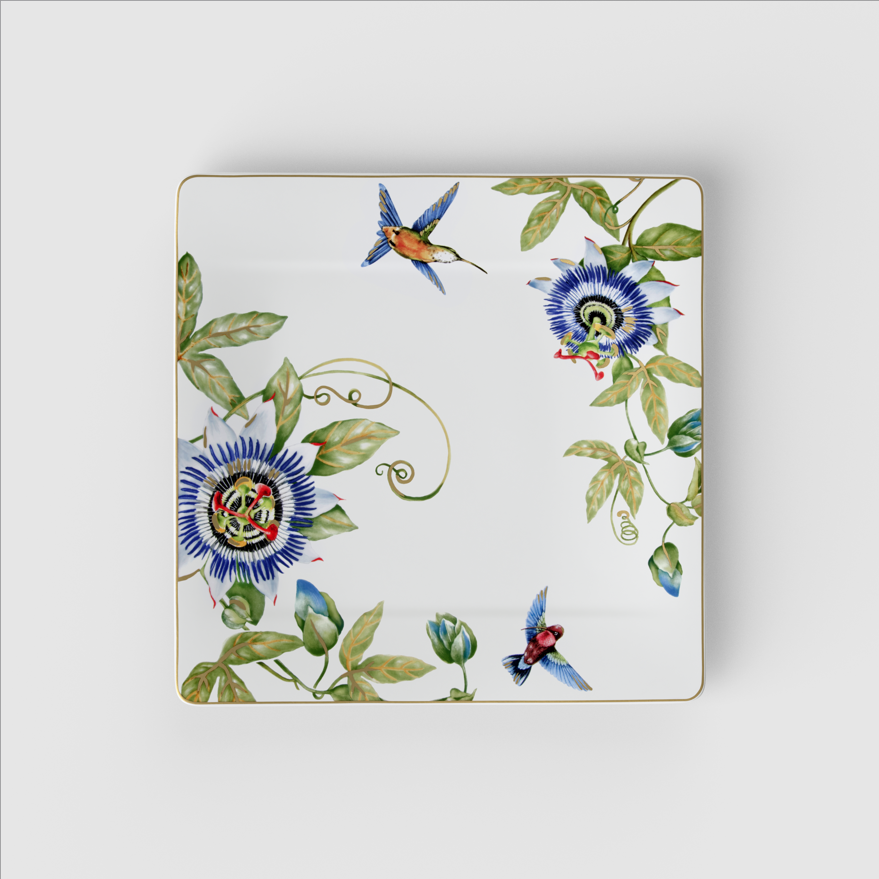 Amazonia Gourmetteller