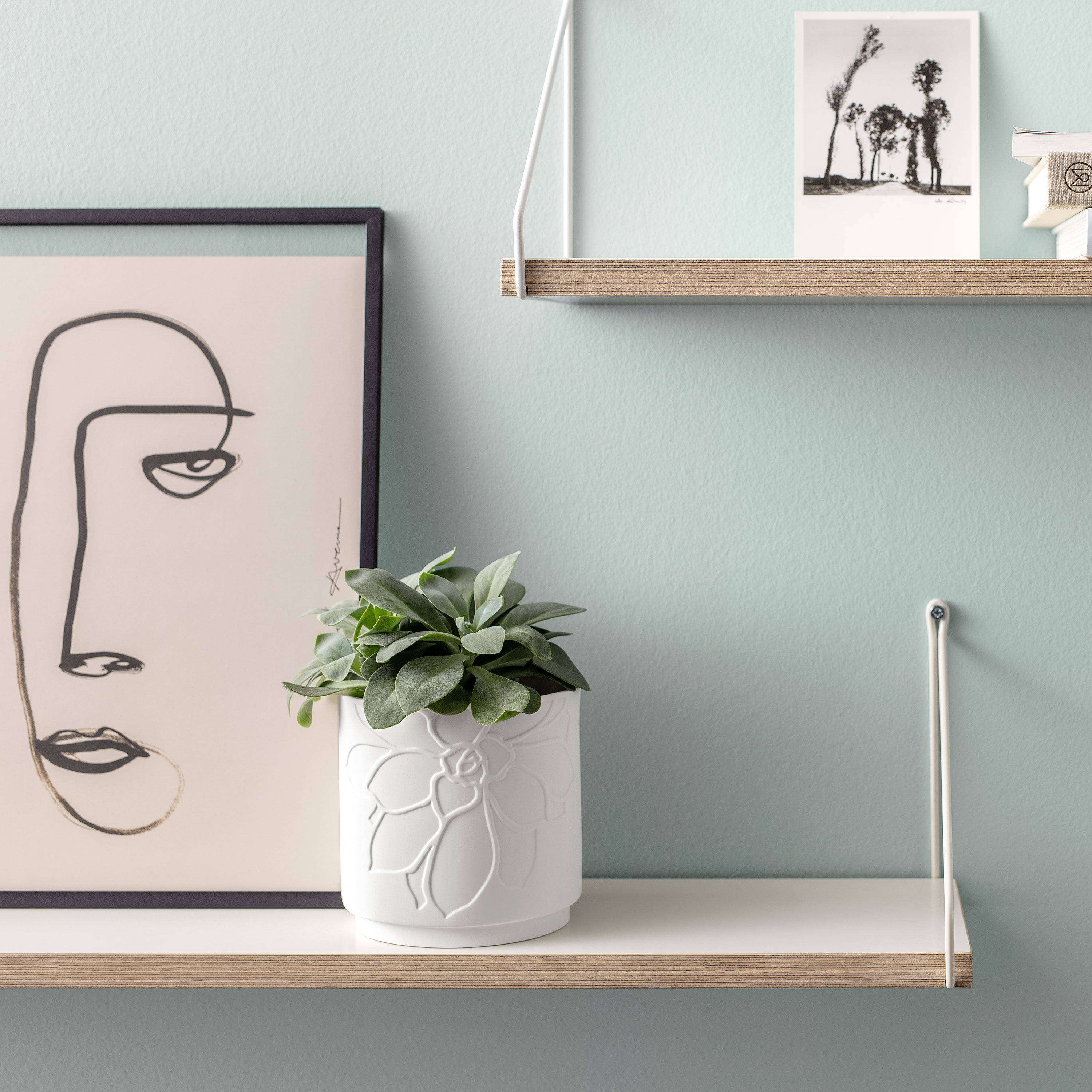 It's my home Blumentopf