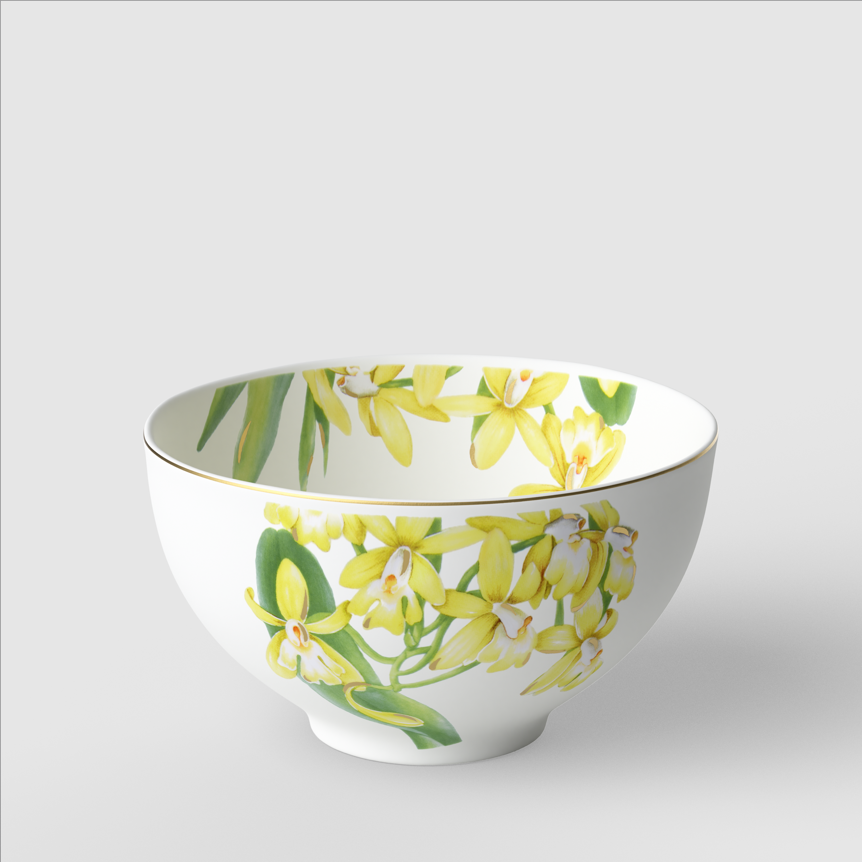 Amazonia M��slischale