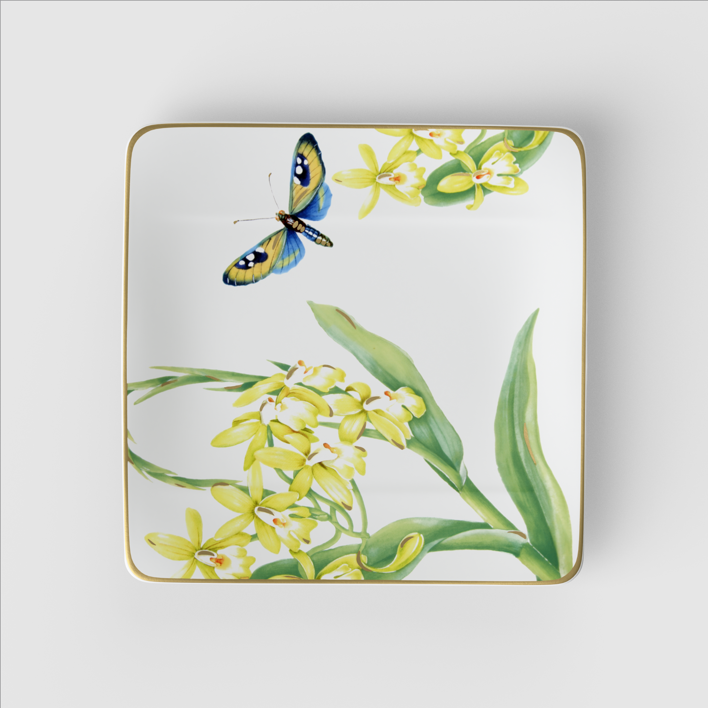 Amazonia Fr��hst��cks-/ Dessertteller