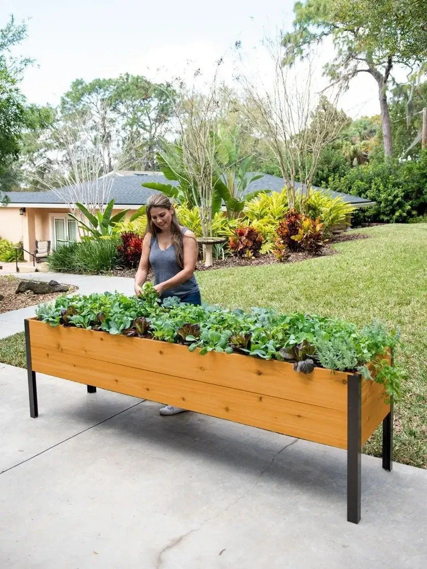 Watering Eco-Stained Elevated Planter Box - CostcoStore