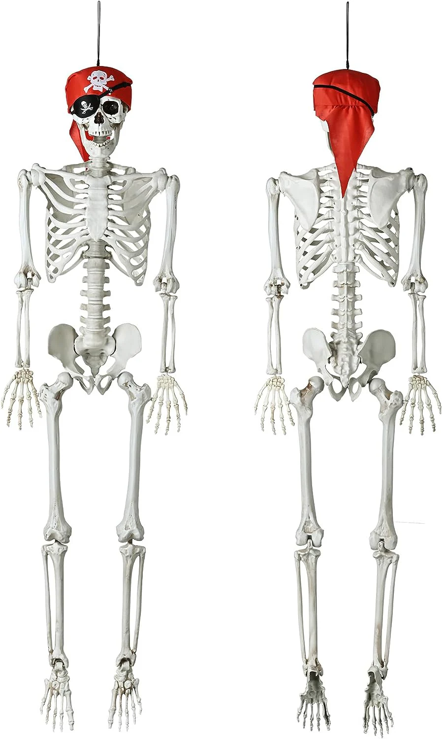 Halloween decoration skull skull - CostcoStore